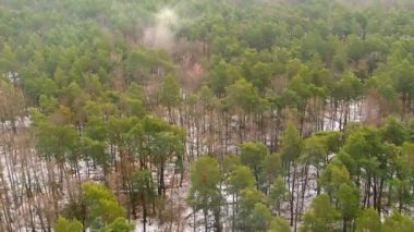Kışın insansız hava aracı manzarası. Karda ağaçlar. Buz gibi orman. Doğa manzarası
