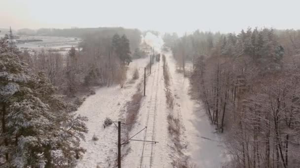 Vista de una antigua locomotora de vapor restaurada soplando humo, vehículo viajando — Vídeos de Stock