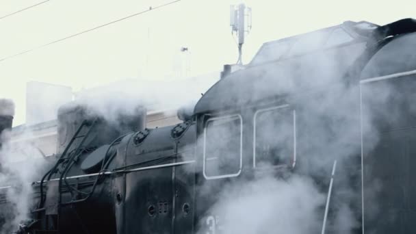 Βίντατζ μαύρη ατμομηχανή. Ιστορικό τρένο τρέχει μέσα από τα πεδία. Όχημα — Αρχείο Βίντεο