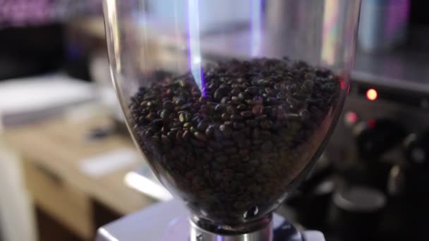 Zwarte koffiebonen in dranktank. Heerlijke arabica koffie industrie. — Stockvideo