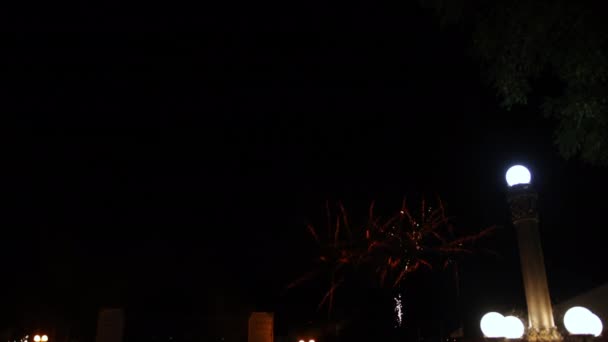 Feux d'artifice colorés abstraits. pétard à motifs festifs éclatant sous diverses formes. — Video