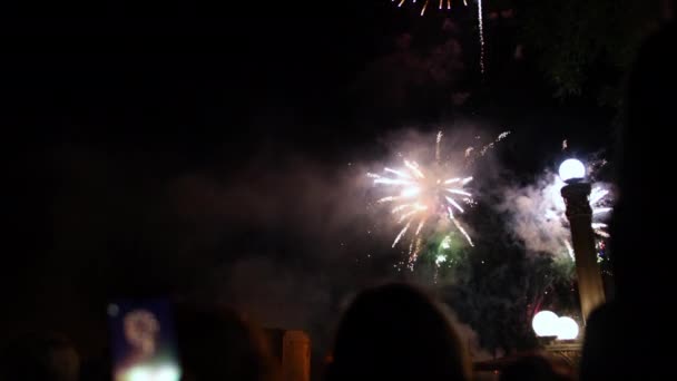 Hacer fotos por teléfono inteligente de hermosa exhibición de fuegos artificiales para la celebración — Vídeos de Stock