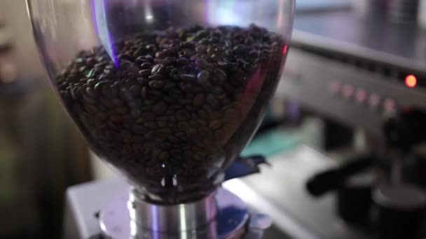 Чорні кавові зерна в резервуарі для напоїв. Смачна арабіка кавова промисловість. крупним планом — стокове відео