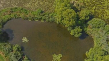Tatildeki göletin güzel manzarası havadan çekilmiş. Kuş bakışı bir sürü göl.
