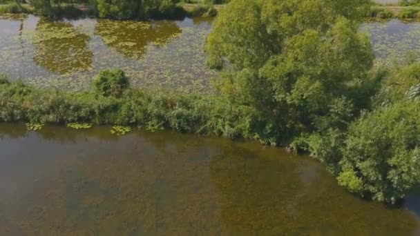 Green water. Dirty pond that needs cleaning. Many lakes from a birds eye view. Aerial photography — Stock Video