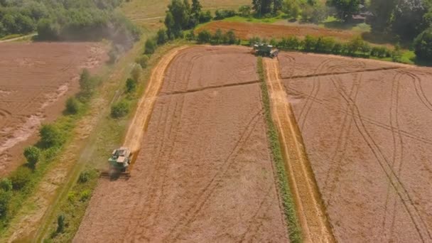 畑に黄金の熟した小麦を収穫する。上からの眺め。コンバイン・ハーベスターの空中像 — ストック動画