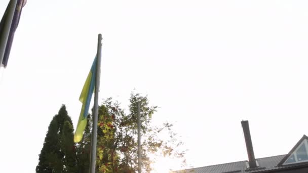 Bandera de Ucrania sobre fondo cielo azul. Símbolo nacional de libertad e independencia. Bandera grande — Vídeos de Stock