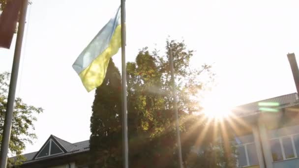 Unabhängigkeit, Flagge, Verfassungstag, Nationalfeiertag. Ukraine-Flagge flattert großes Symbol — Stockvideo