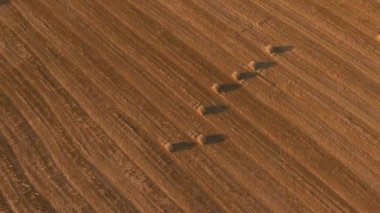 Arka planda batan güneşe karşı saman balyalarının manzarası. Kırsal doğa. Buğday hasadı saman balyası