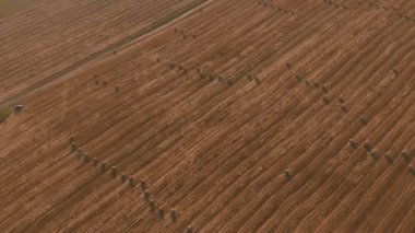 Hasat hasadından arta kalan saman yığınları, tarım tarlaları.