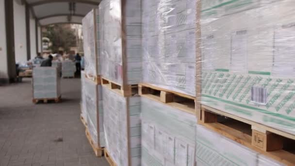 Manual forklift pallet stacker equipment in warehouse on a blurred background. — Stock Video