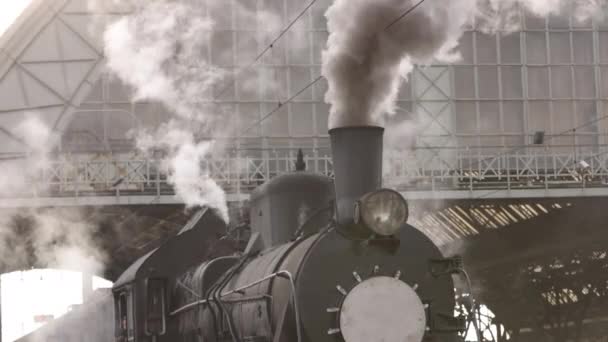 Historyczna lokomotywa pociągu parowego, koła lokomotywy. Pociąg parowy odjeżdża — Wideo stockowe
