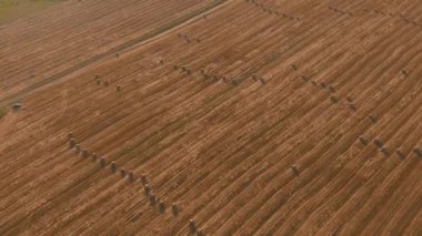 Arka planda batan güneşe karşı saman balyalarının manzarası. Kırsal doğa. Buğday hasadı saman balyası