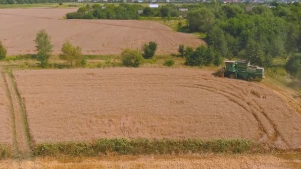 Mähdrescher erntet reifen Weizen. Landwirtschaft. Erntemaschine transportieren — Stockvideo