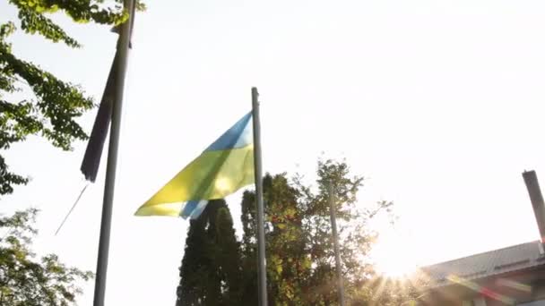 Bandera de Ucrania sobre fondo cielo azul. Símbolo nacional de libertad e independencia. Bandera grande — Vídeo de stock