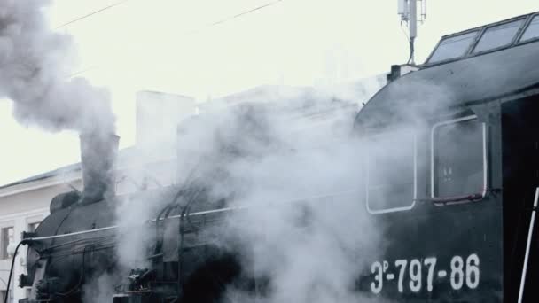 Locomotiva a vapor preta vintage. O comboio histórico atravessa campos. Veículo — Vídeo de Stock