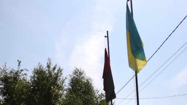 Bendera kuning dan biru Ukraina. bendera hitam dan merah Tentara Pemberontak Ukraina menggantung — Stok Video