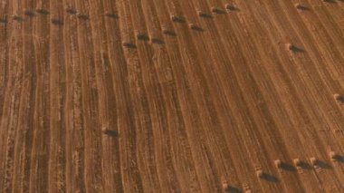 Hasat hasadından arta kalan saman yığınları, tarım tarlaları.