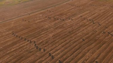 Hasat hasadından arta kalan saman yığınları, tarım tarlaları.