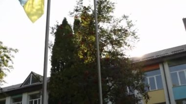 Bağımsızlık, bayrak, anayasa günü, ulusal bayram. Mavi gökyüzünde dalgalanan Ukrayna bayrağı..