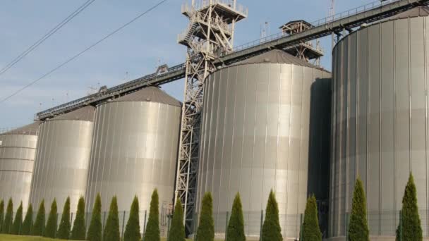 Silos agrícolas. Almacenamiento y secado de granos, trigo, maíz, soja, girasol. Edificio industrial — Vídeos de Stock
