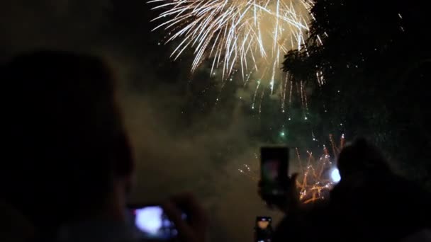 Multitud ver fuegos artificiales y celebrar con fotos de teléfono móvil. Sujeción manual — Vídeos de Stock