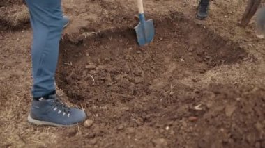 2. Dünya Savaşı 'nın arkeolojik alanı toplu mezar. Çukur kazıyorum. Toprağa gömül..
