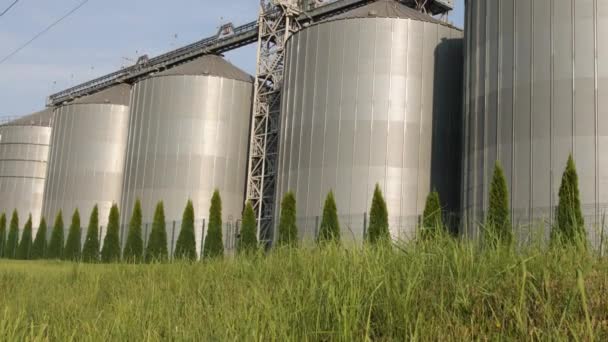 农业筒仓。谷物、小麦、玉米、大豆、葵花籽的储存和干燥。工业建筑 — 图库视频影像