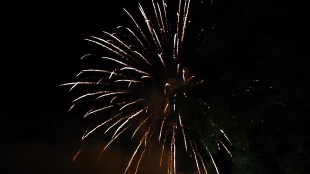 Abstract Kleurrijk Vuurwerk Feestelijke Patroon Vuurwerk Barsten Verschillende Vormen Helder — Stockvideo