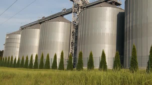 用于加工干洗 农产品储存 谷类和谷物的农业制造厂银仓 大铁桶的谷物 粮仓升降机 — 图库视频影像