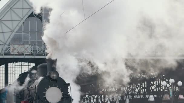 Klasik Siyah Buhar Lokomotifi Tarihsel Tren Tarlalardan Geçiyor Araç Tren — Stok video