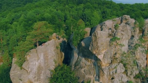 Aerial Photography Beautiful Wild Medieval Woman Blue Dress Interwoven Feathers — Stock Video