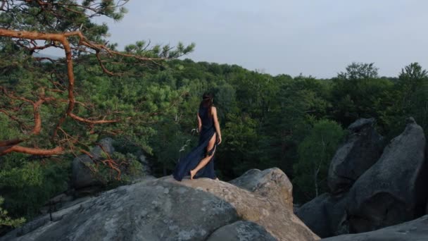 背後から岩を背景に風になびくドレス姿が見られる ロマンス 観光の概念 — ストック動画