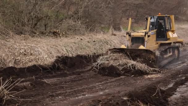 Bulldozer Sitio Construcción Pala Suelo Montón Potente Movimiento Tierra Amarillo — Vídeos de Stock