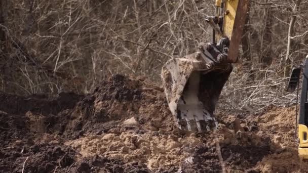 Bucket Backhoe Digging Soil Construction Site Crawler Excavator Digging Excavating — Stock Video