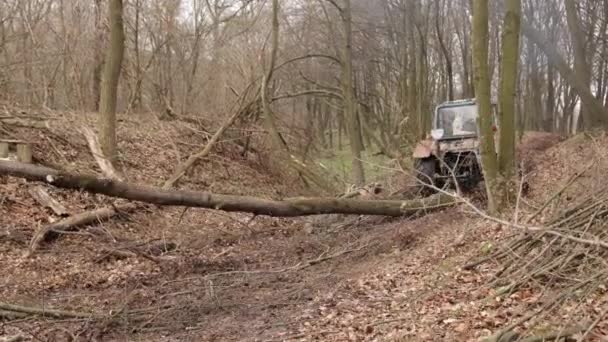 Wood Necessary Country Harm Ecology Problems Tourism Skidding Timber Tractor — Stock videók