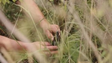 An actual hand grenade in the hand of a soldier, or a realistic hand grenade, a high explosive TNT concept in the hand of a soldier