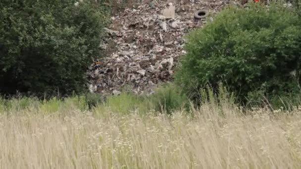 Dumping Garbage Food Trash Dumps Garbage Dump Piles Landfills Pollution — Vídeos de Stock