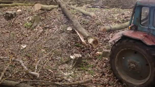 Logging Tractor Forest Road Pulling Tree Trunk Truck Tractor Pulls — Vídeo de Stock