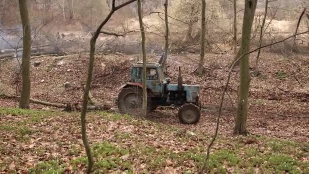 Logging Tractor Forest Road Pulling Tree Trunk Truck Tractor Pulls — Vídeos de Stock