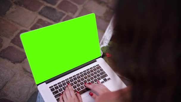Background Womans Hands Working Green Screen Computer Creative People Can — Stockvideo