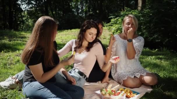 Kvinnor Äter Hälsosam Picknick Naturen Solig Sommardag Duk Med Vacker — Stockvideo