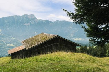 Yazın Vaud Kantonu Leysin Kantonu yakınlarındaki İsviçre Alpleri 'ndeki yüksek dağlık çayırdaki ahşap ahırın yüksek açılı görüntüsü.