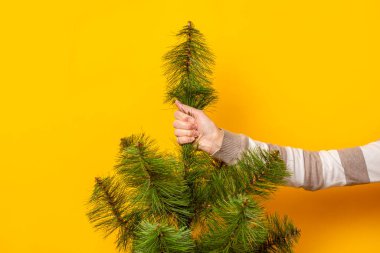 Sarı arka planda bir Noel ağacını tutan el. Yeni yıl ve Noel arifesi kavramı. Pankart.