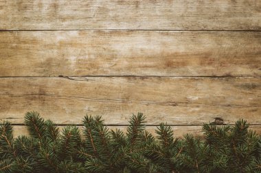 Noel ağacı dalları ve karlı ahşap bir arka plan. Noel konsepti. Pankart. Düz yatış, üst görünüm.