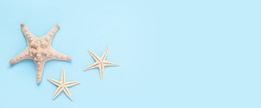 Mavi arka planda güzel deniz yıldızları. Üst manzara, düz yatış. Pankart