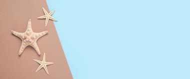 Kahverengi-mavi arka planda yıldız balıkları. Üst manzara, düz yatış. Pankart