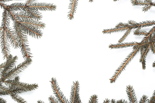 Christmas tree branches. Christmas concept, nature, winter