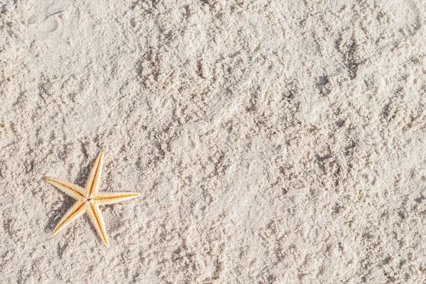 Stella Marina Dorata Una Spiaggia Sabbiosa Vista Dall Alto Piatta — Foto Stock