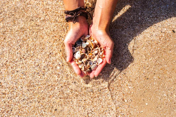 Seashells Mãos Femininas Fundo Praia Vista Superior Flat Lay — Fotografia de Stock